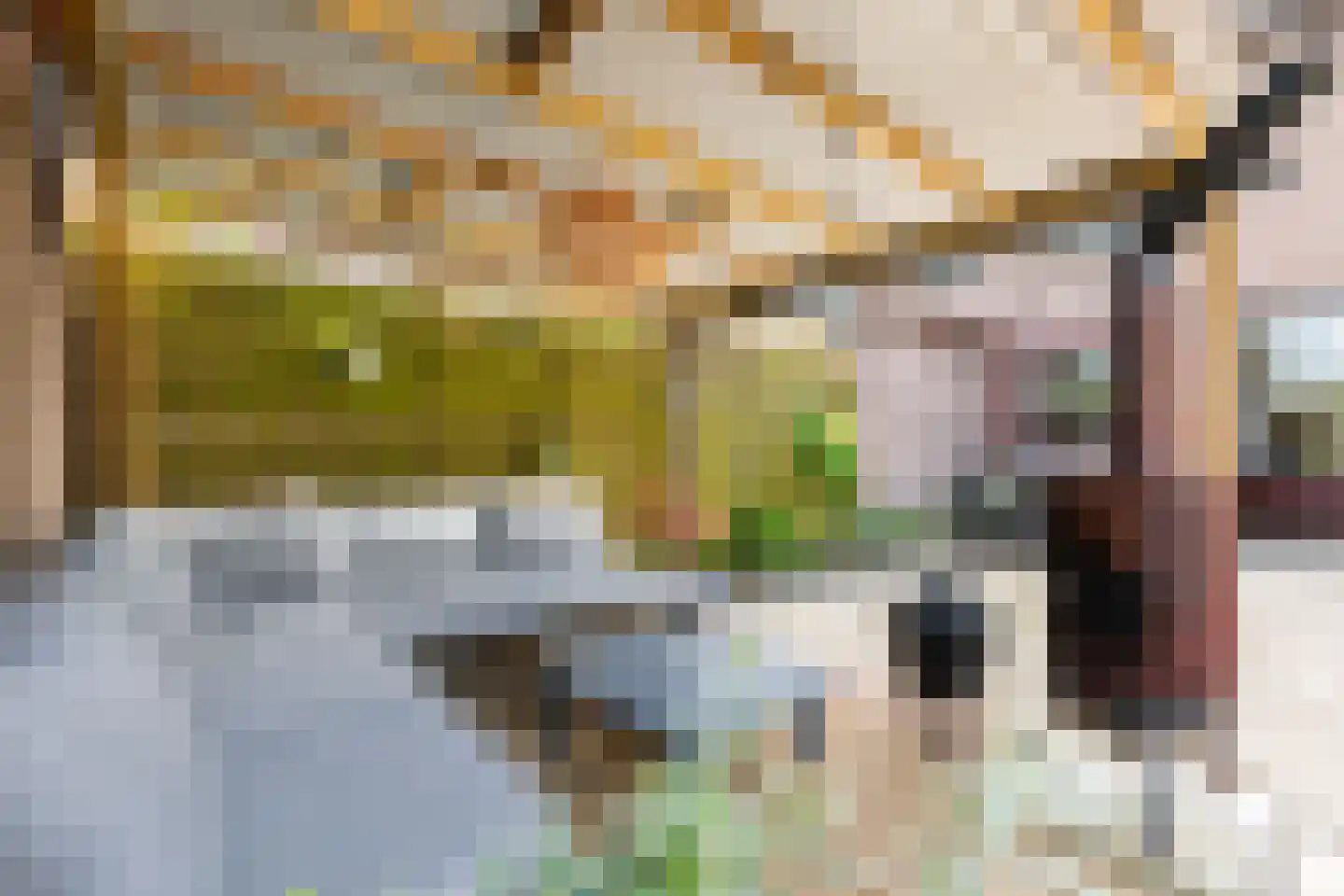 Elzenlaan 99 Groningen thumbnail 43