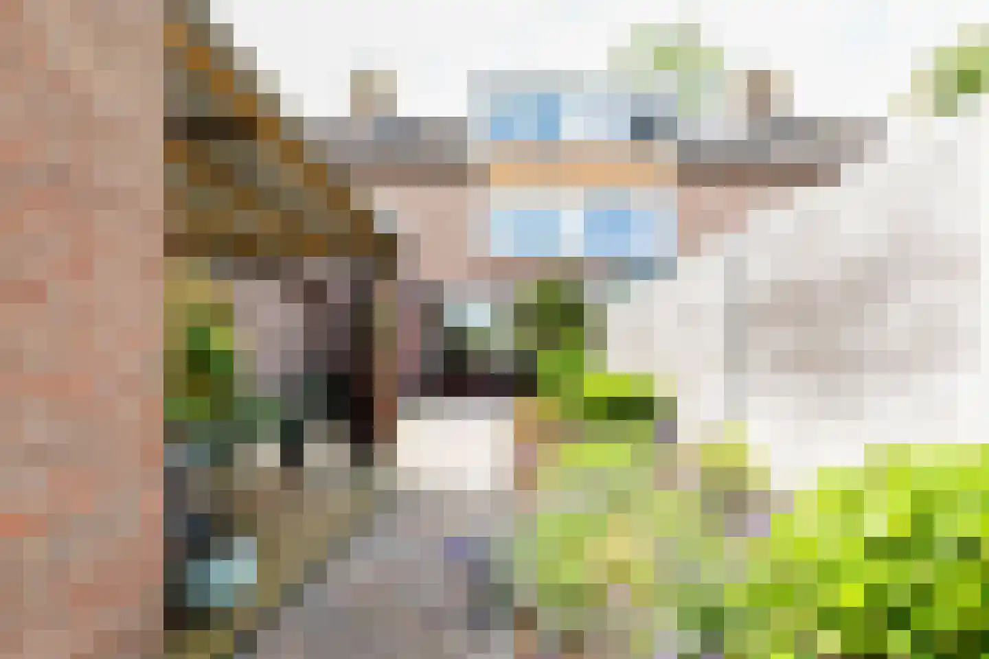 Elzenlaan 99 Groningen thumbnail 44