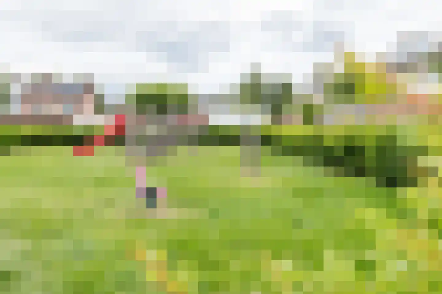Elzenlaan 99 Groningen thumbnail 46