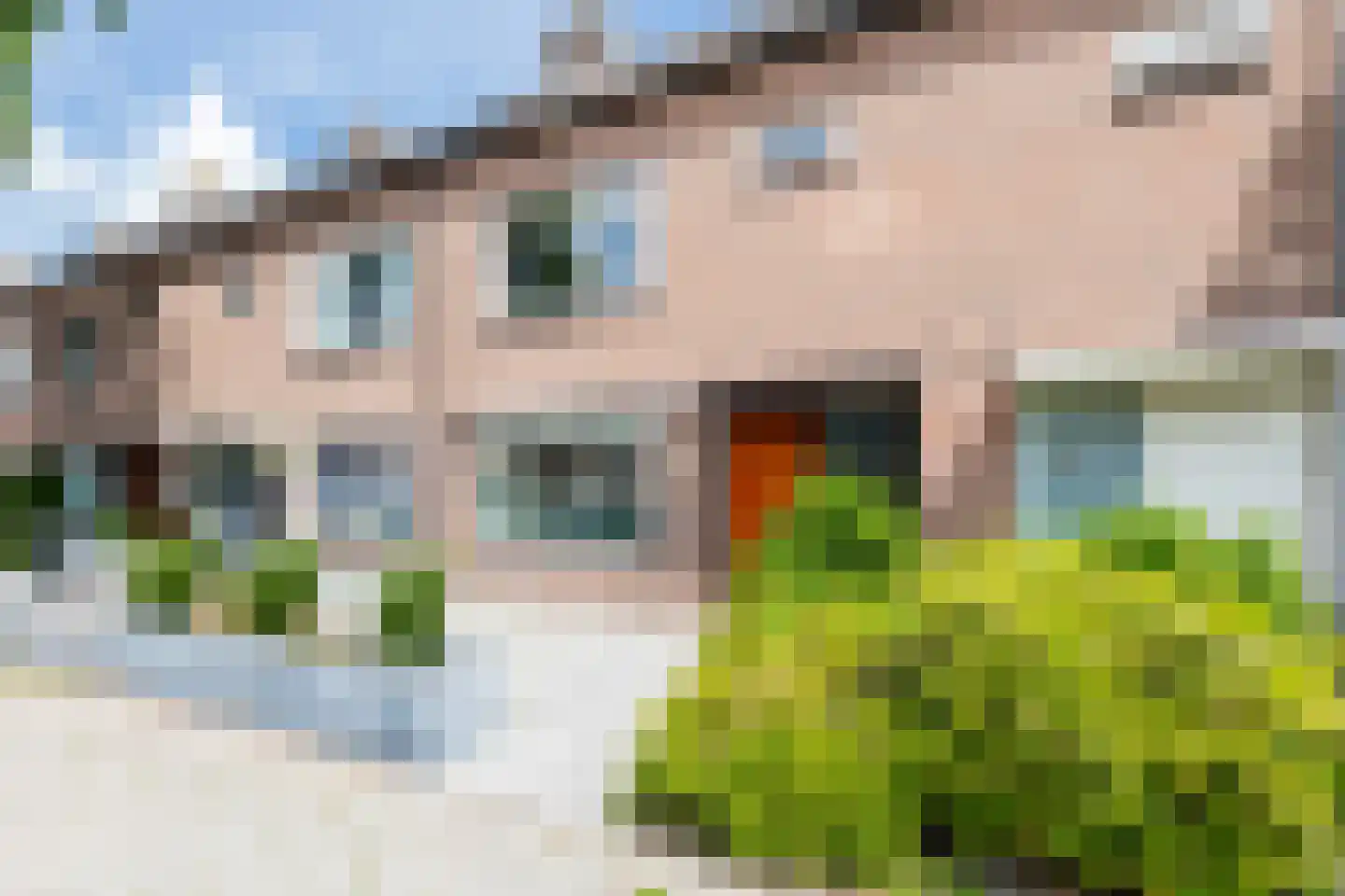 Elzenlaan 99 Groningen thumbnail 5