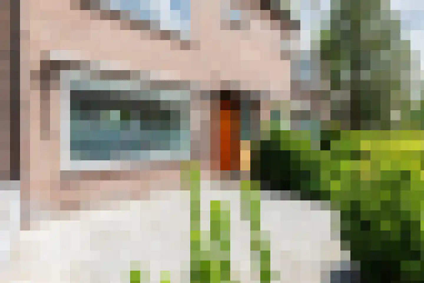 Elzenlaan 99 Groningen thumbnail 6