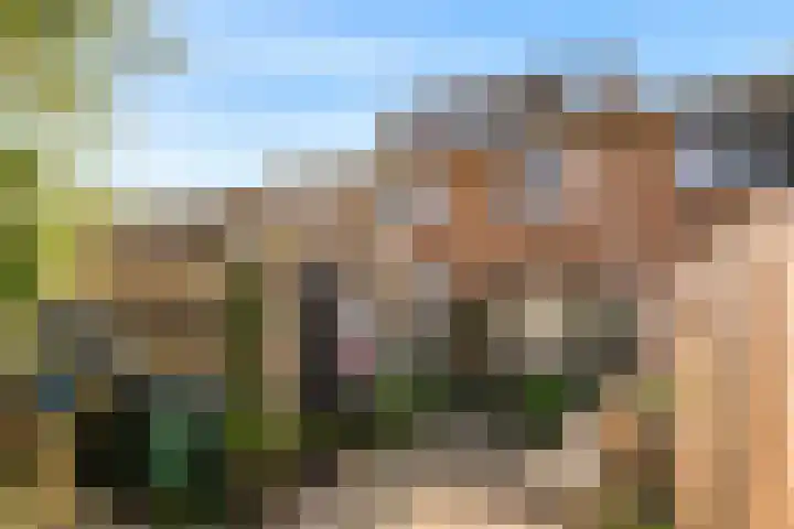 Elzenlaantje 10 Aalsmeer thumbnail 18