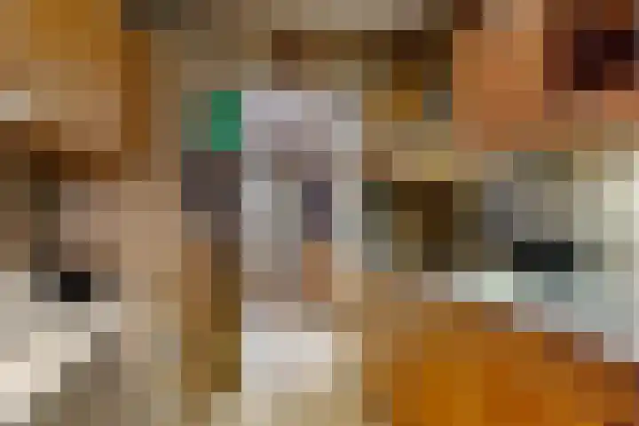 Elzenlaantje 10 Aalsmeer thumbnail 6