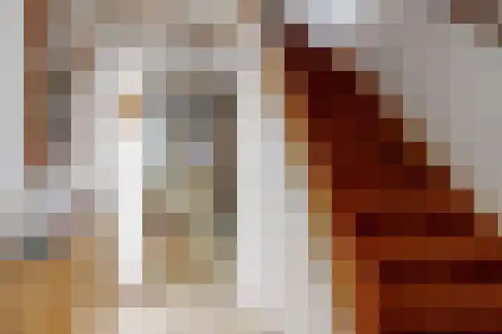 Elzenlaantje 10 Aalsmeer thumbnail 7
