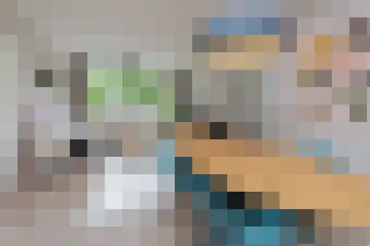 Elzenlaantje 12 Aalsmeer thumbnail 10