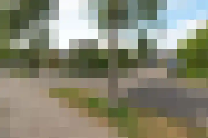 Elzenlaantje 12 Aalsmeer thumbnail 22
