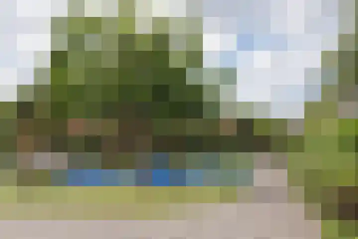Elzenlaantje 12 Aalsmeer thumbnail 23
