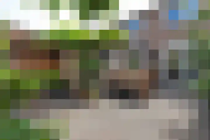 Elzenlaantje 12 Aalsmeer thumbnail 4