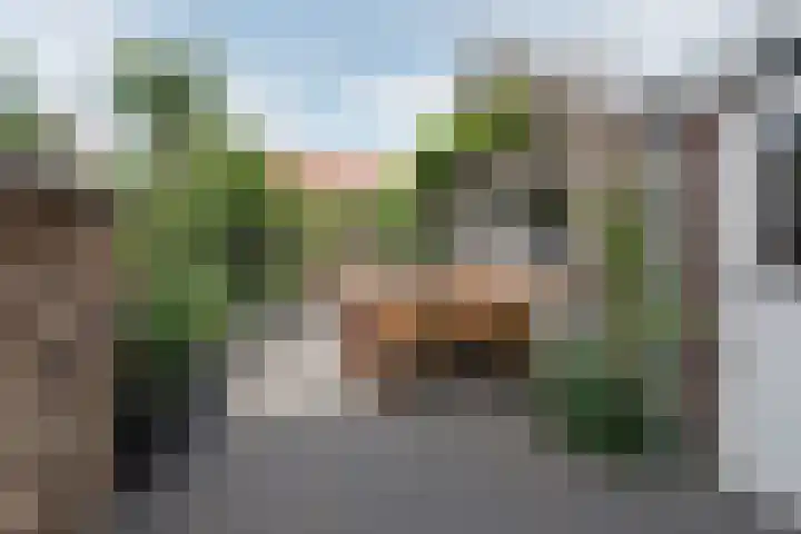 Elzenlaantje 12 Aalsmeer thumbnail 6
