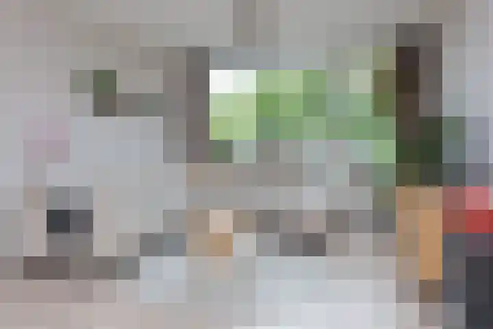 Elzenlaantje 12 Aalsmeer thumbnail 8