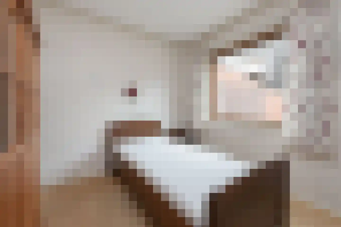 Elzenlaantje 2 Aalsmeer thumbnail 12