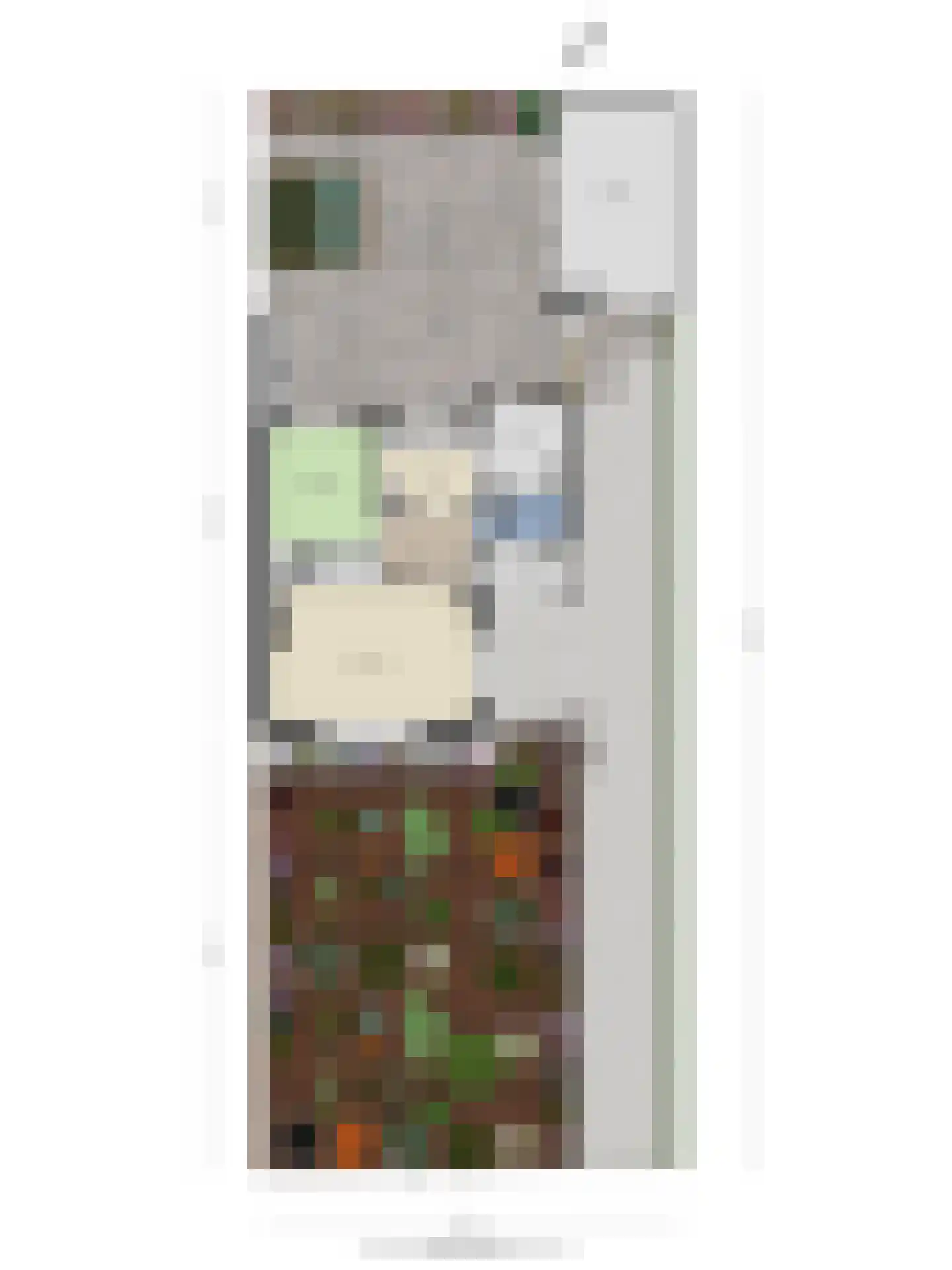 Elzenlaantje 2 Aalsmeer thumbnail 20