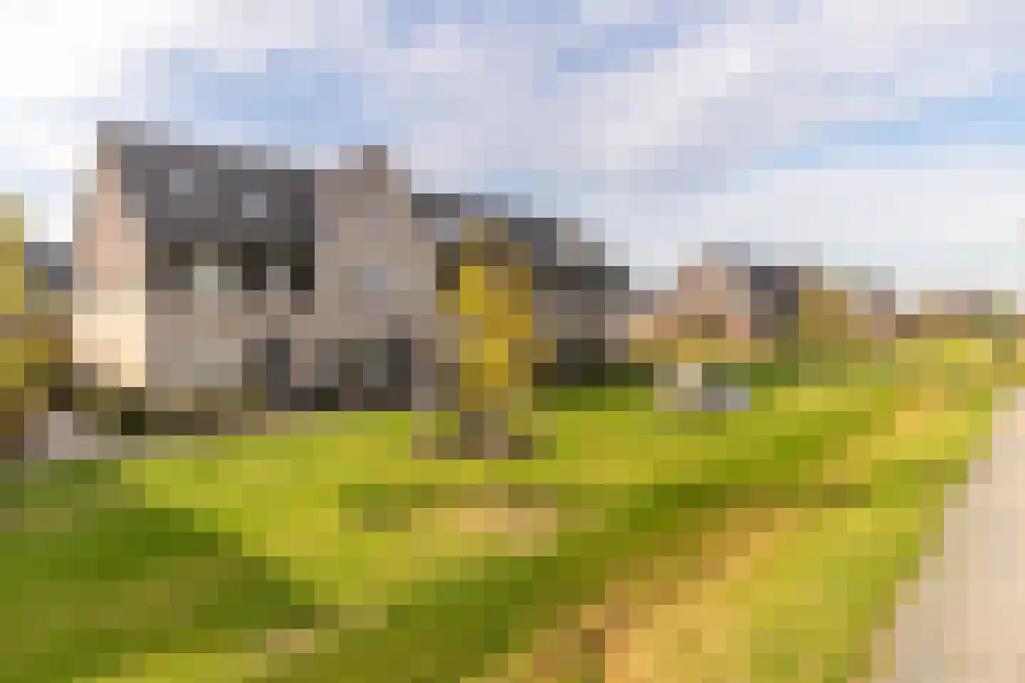 Elzenlaantje 20 Nieuw-Beijerland