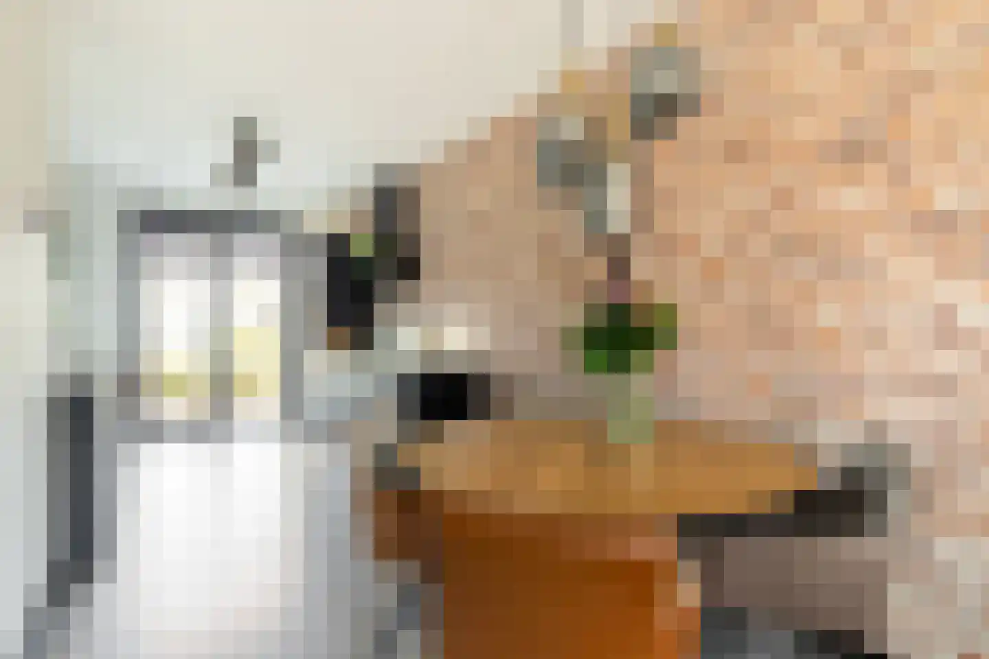 Elzenlaantje 20 Nieuw-Beijerland thumbnail 13