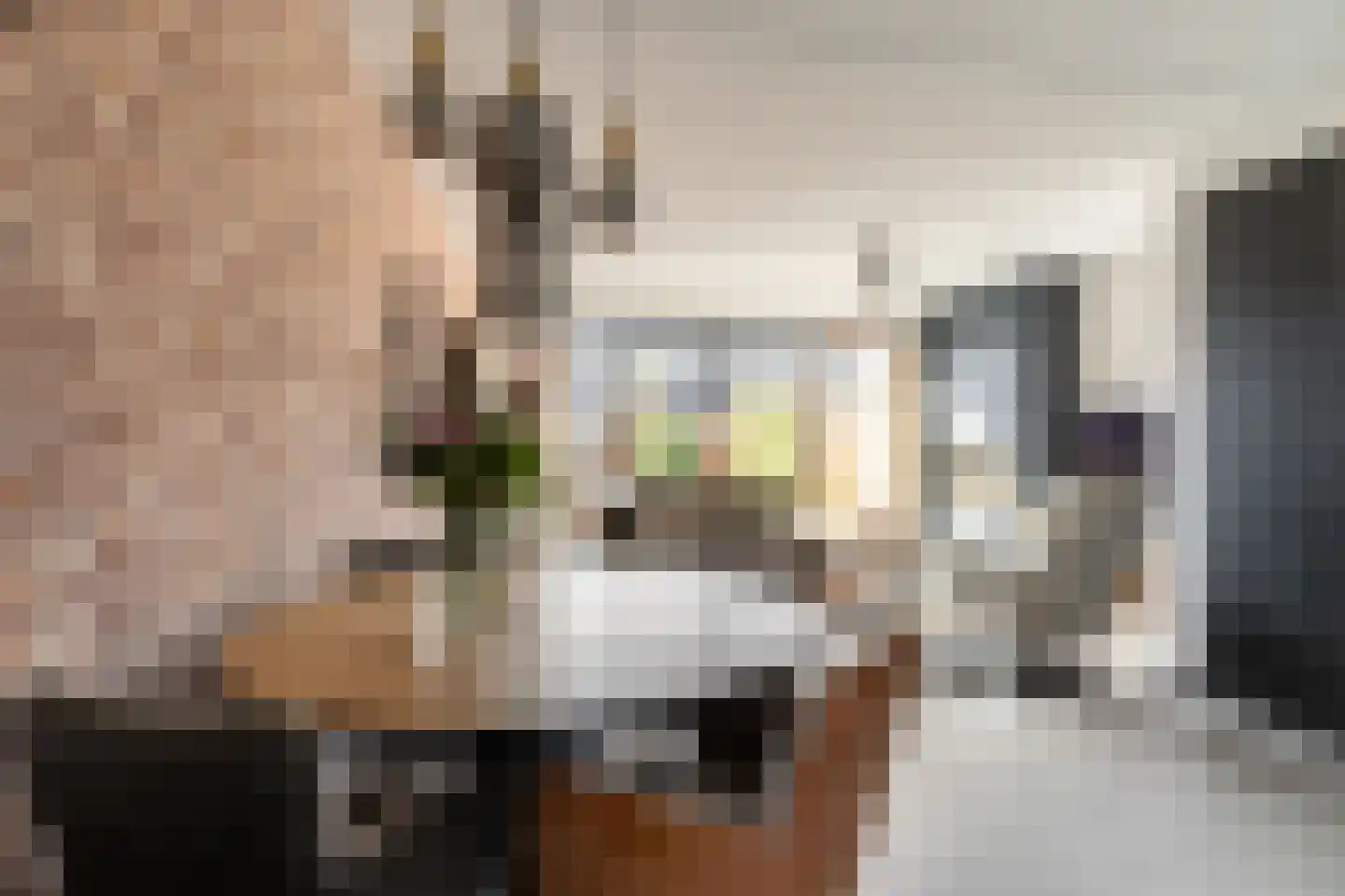Elzenlaantje 20 Nieuw-Beijerland thumbnail 17