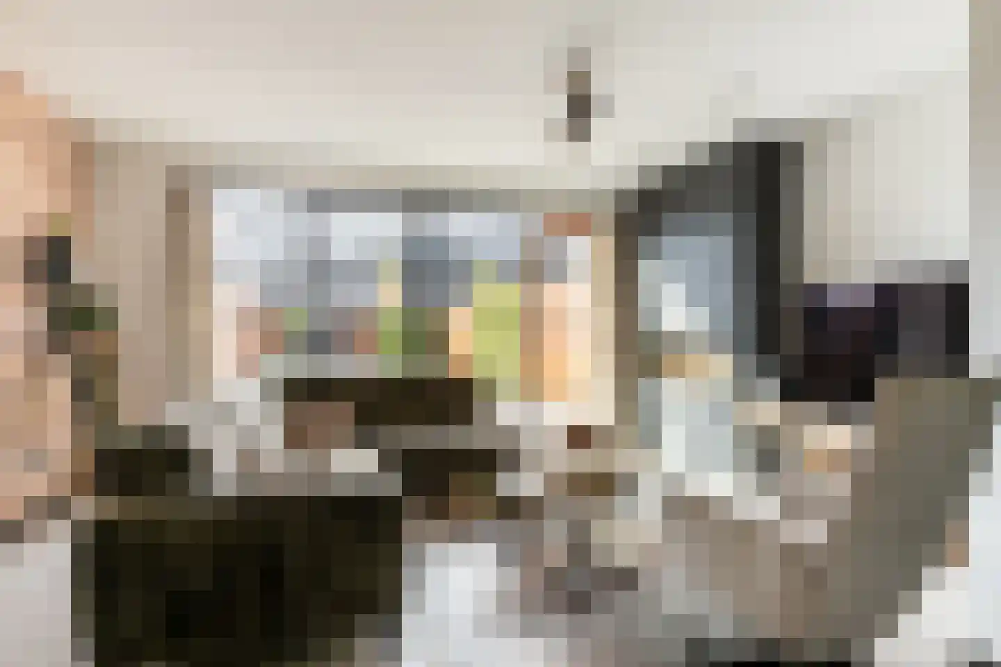 Elzenlaantje 20 Nieuw-Beijerland thumbnail 18
