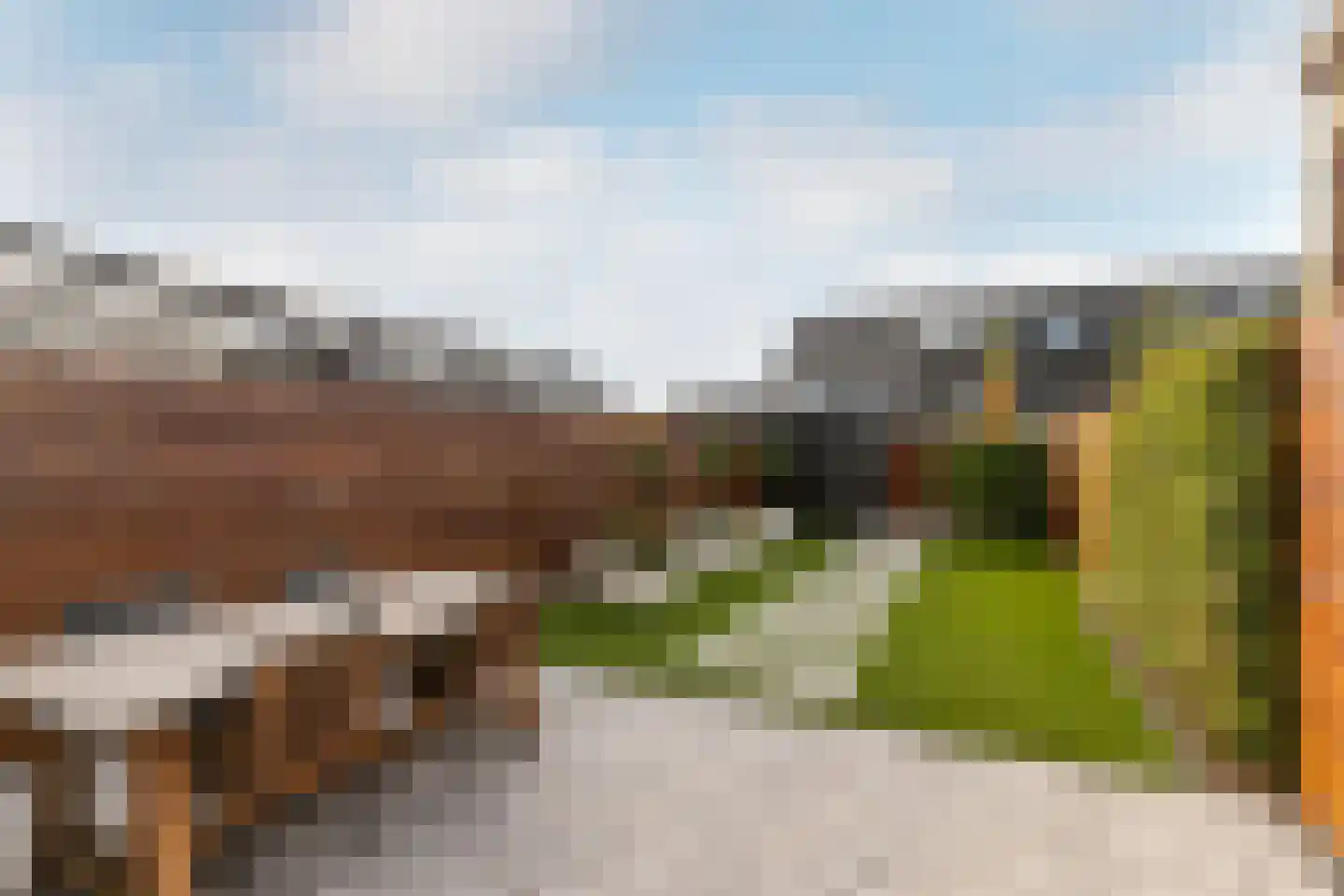 Elzenlaantje 20 Nieuw-Beijerland thumbnail 22