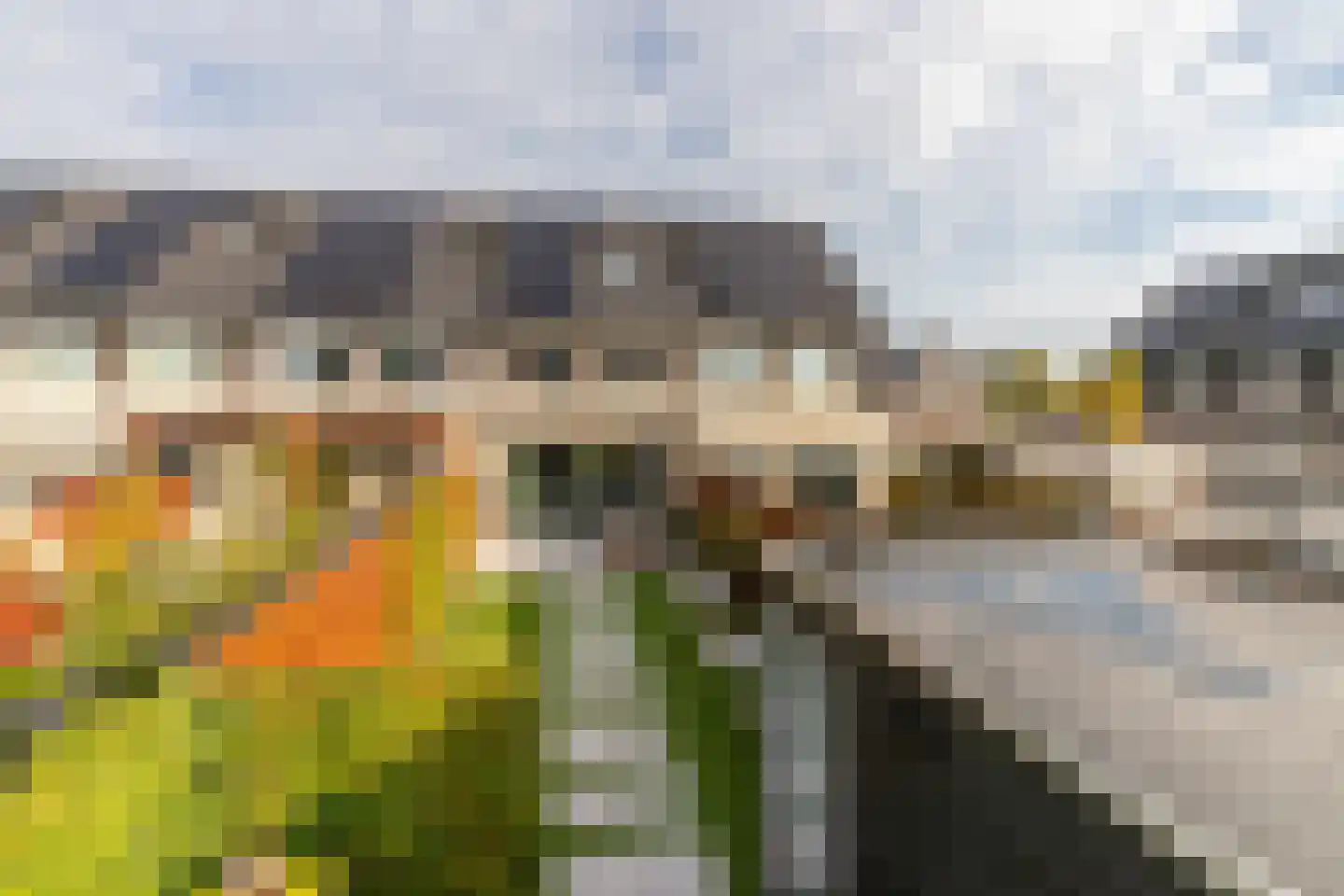 Elzenlaantje 20 Nieuw-Beijerland thumbnail 24