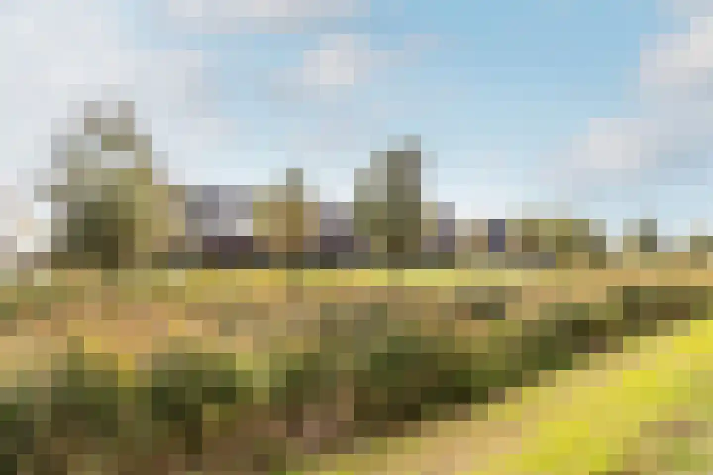 Elzenlaantje 20 Nieuw-Beijerland thumbnail 38