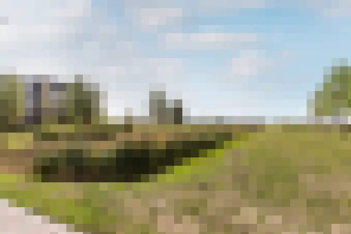 Elzenlaantje 20 Nieuw-Beijerland thumbnail 39