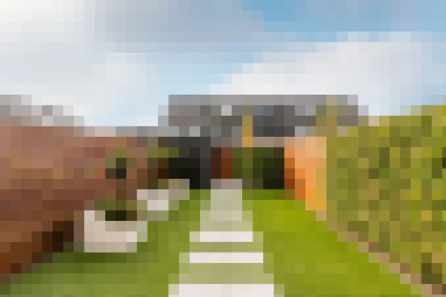 Elzenlaantje 20 Nieuw-Beijerland thumbnail 6