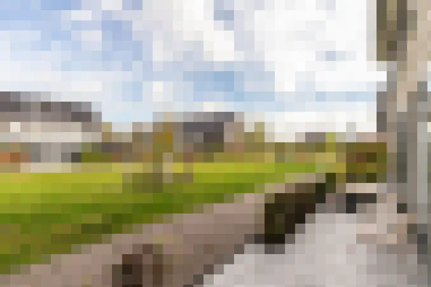 Elzenlaantje 20 Nieuw-Beijerland thumbnail 8