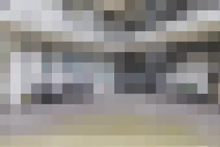 Elzenmos 4 Zwolle thumbnail 10