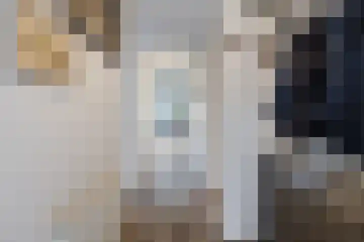 Elzenmos 4 Zwolle thumbnail 11