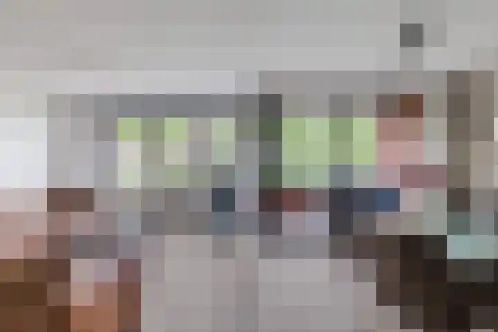 Elzenmos 4 Zwolle thumbnail 14