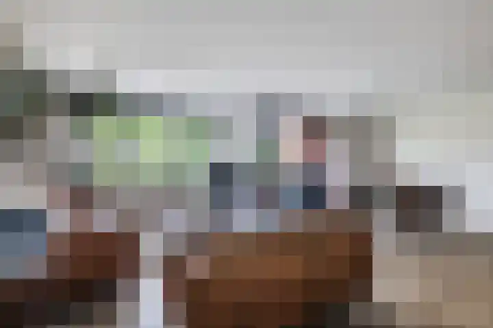 Elzenmos 4 Zwolle thumbnail 15