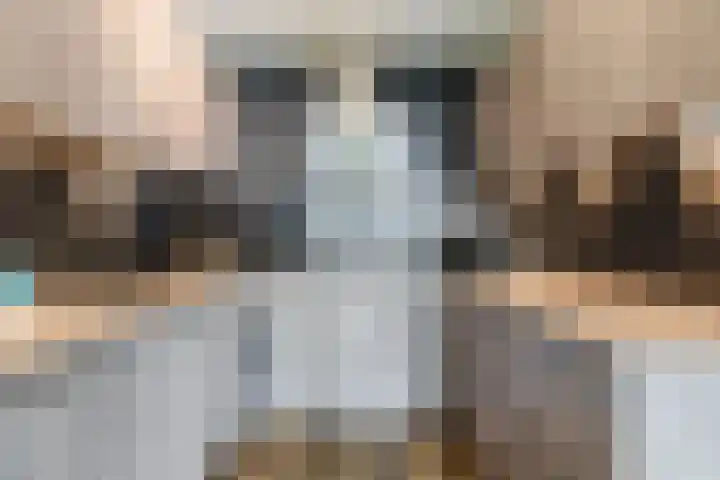 Elzenmos 4 Zwolle thumbnail 19