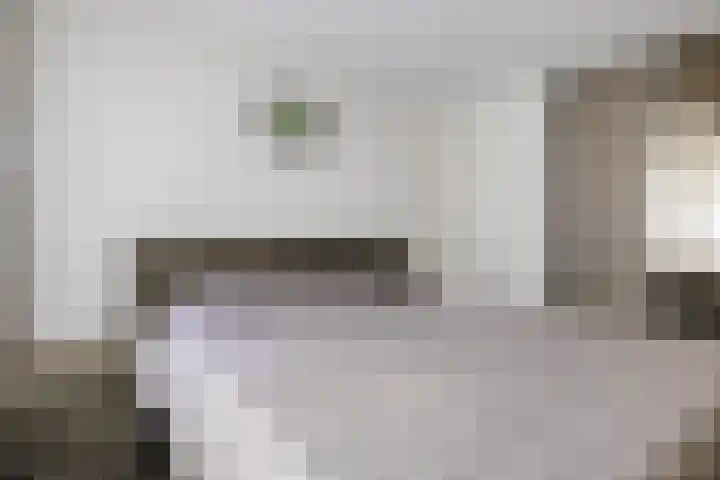 Elzenmos 4 Zwolle thumbnail 22