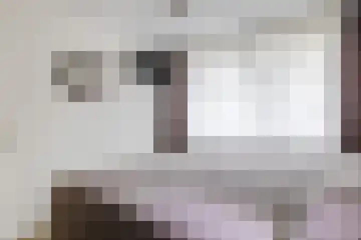 Elzenmos 4 Zwolle thumbnail 24
