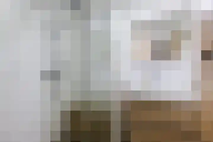 Elzenmos 4 Zwolle thumbnail 27