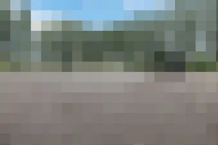 Elzenmos 4 Zwolle thumbnail 32