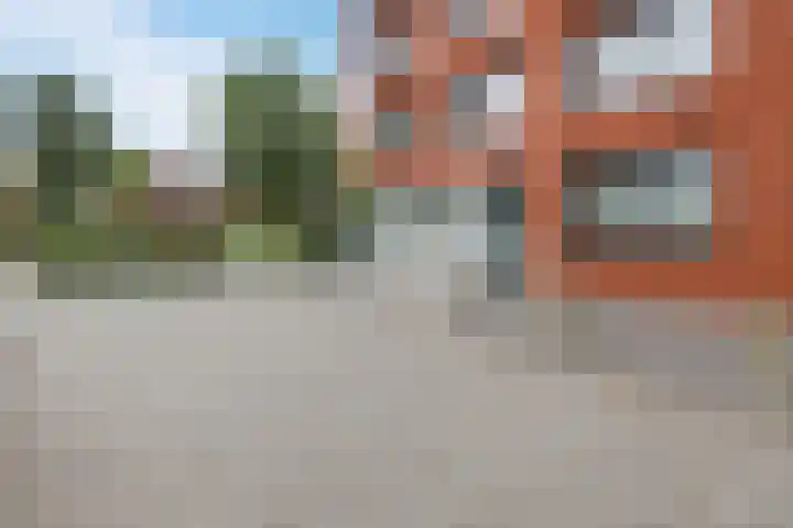 Elzenmos 4 Zwolle thumbnail 35