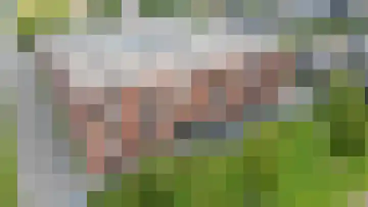 Elzenmos 4 Zwolle thumbnail 39