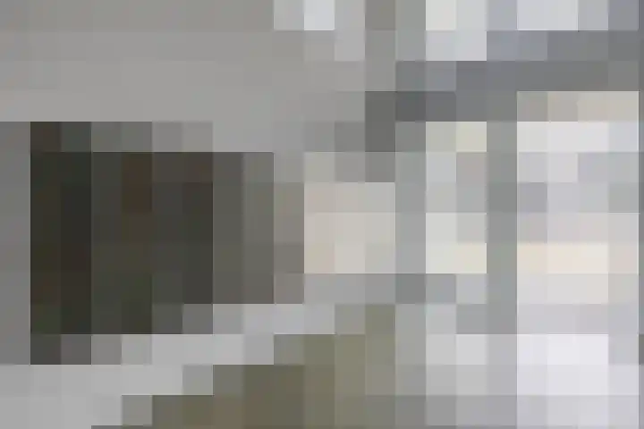 Elzenmos 4 Zwolle thumbnail 5