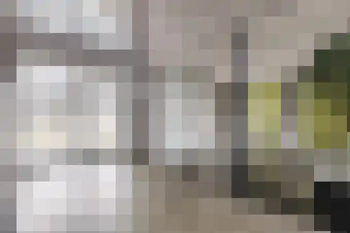 Elzenmos 4 Zwolle thumbnail 6