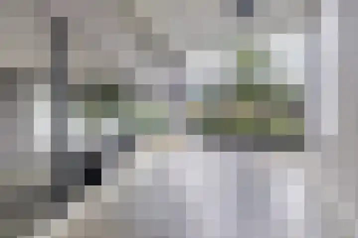 Elzenmos 4 Zwolle thumbnail 7