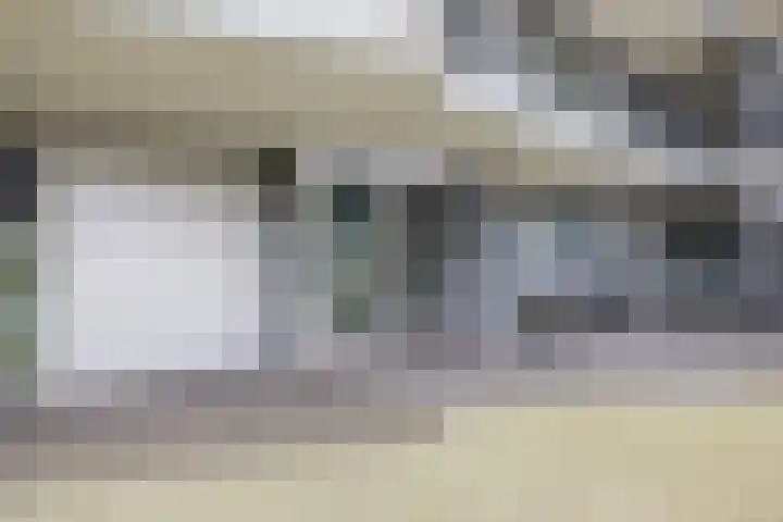 Elzenmos 4 Zwolle thumbnail 9