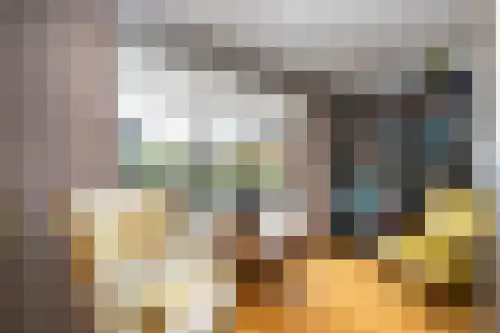 Elzenmos 6 Zwolle thumbnail 11