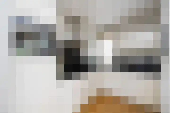 Elzenmos 6 Zwolle thumbnail 12