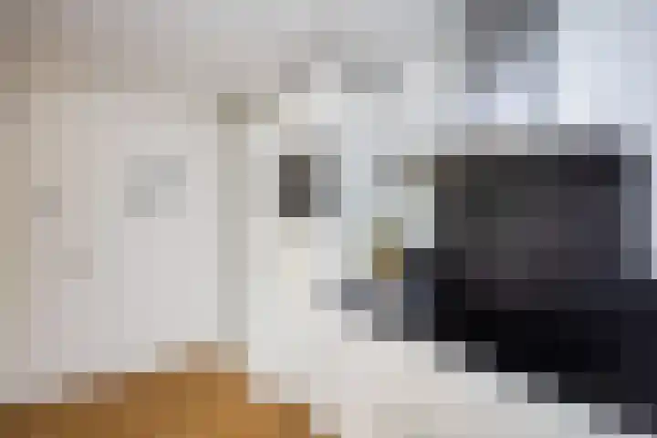 Elzenmos 6 Zwolle thumbnail 13