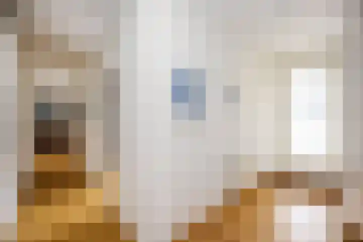 Elzenmos 6 Zwolle thumbnail 14