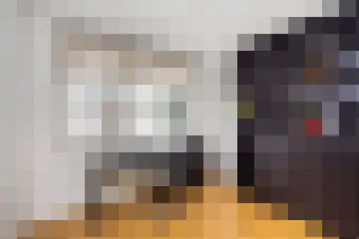 Elzenmos 6 Zwolle thumbnail 16