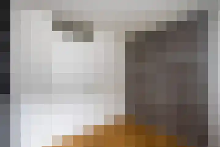 Elzenmos 6 Zwolle thumbnail 17