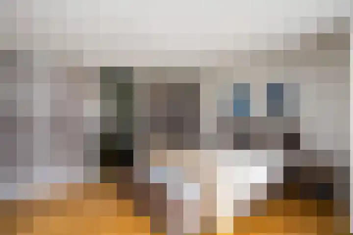 Elzenmos 6 Zwolle thumbnail 18