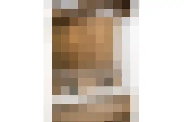 Elzenmos 6 Zwolle thumbnail 20