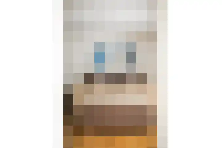 Elzenmos 6 Zwolle thumbnail 21